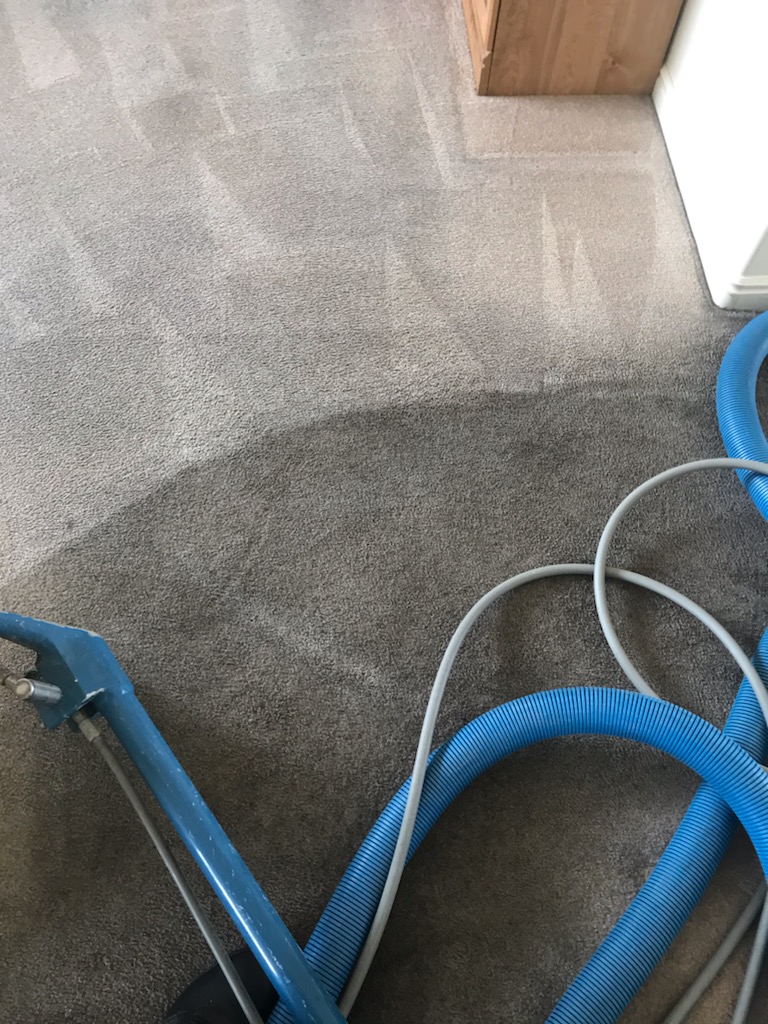 Fratto Boys Carpet Cleaning